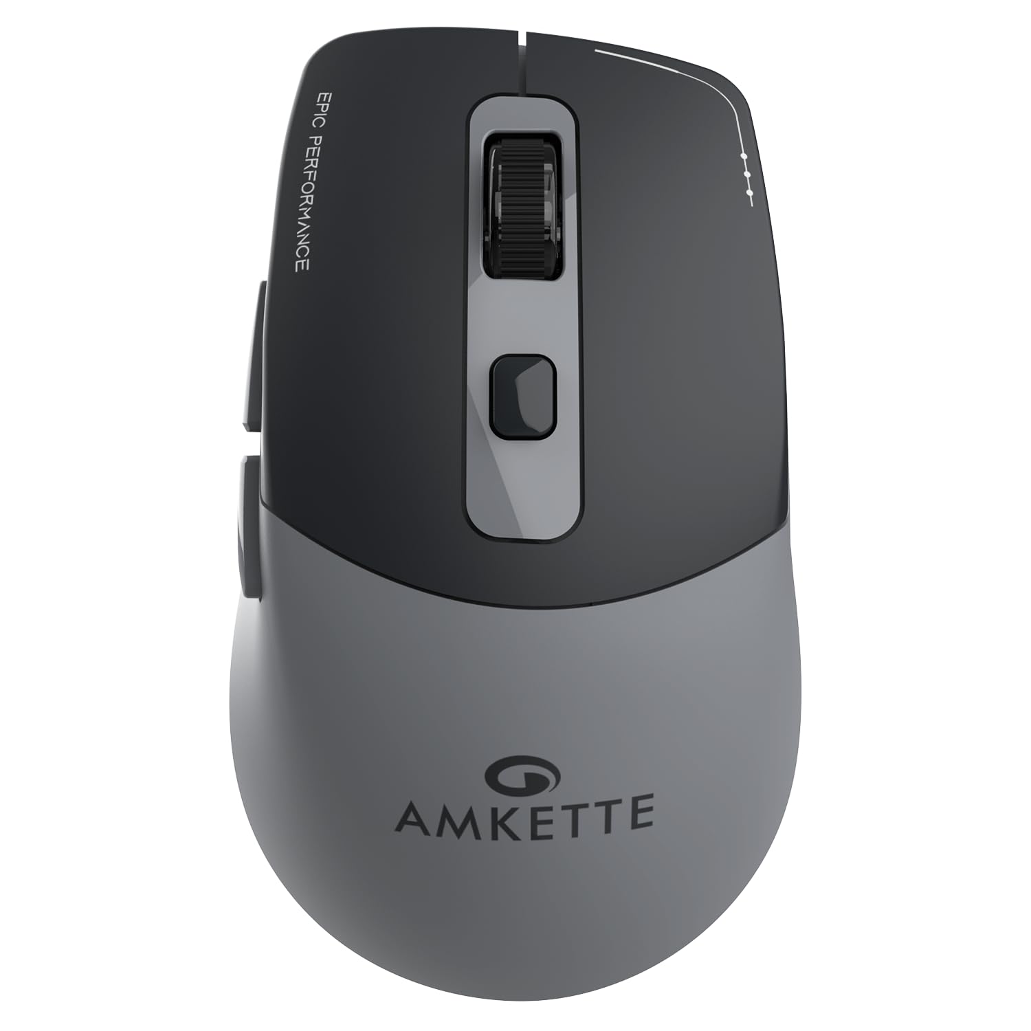 mouse
